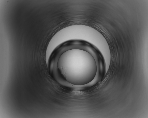 X0000093400425200710121102