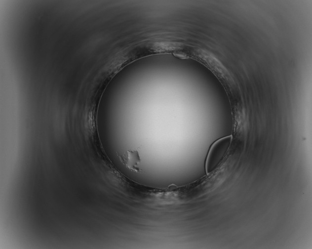 X0000093400426200710121102