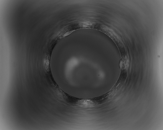 X0000093400427200710121102
