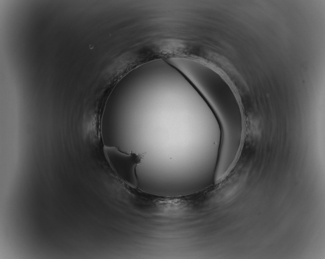 X0000093400428200710121102