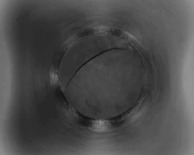 X0000093400432200710121102