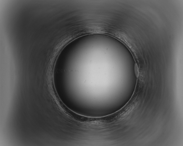 X0000093400433200710121101