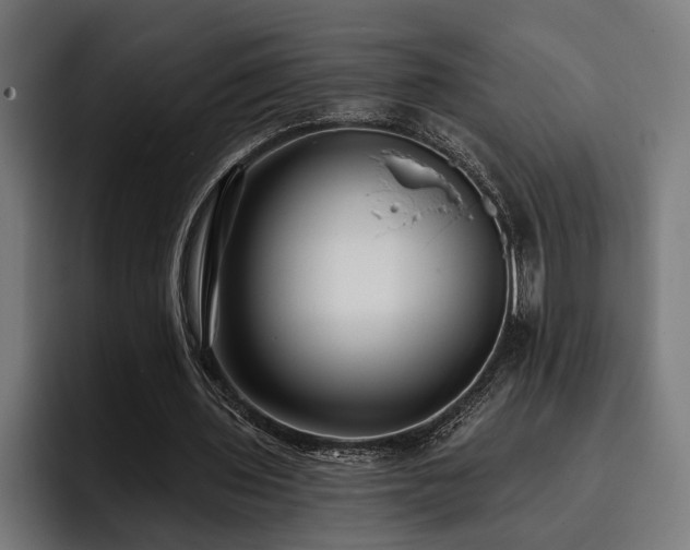 X0000093400435200710121101