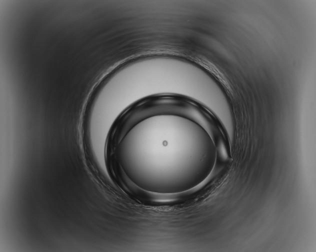 X0000093400436200710121101