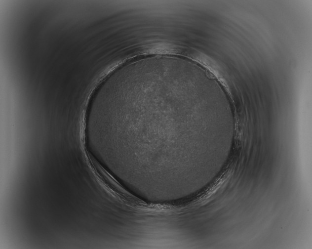X0000093400437200710121101