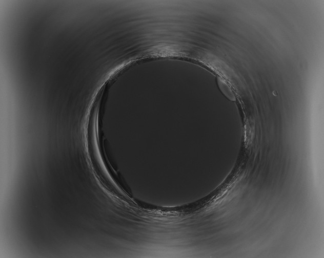 X0000093400438200710121101