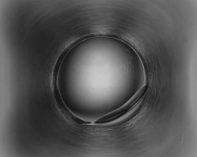 X0000093400439200710121101