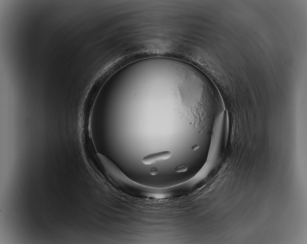 X0000093400440200710121101