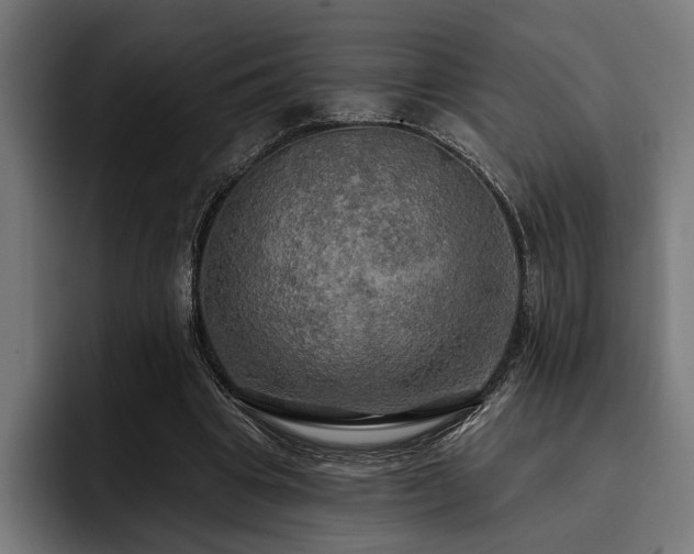 X0000093400441200710121101