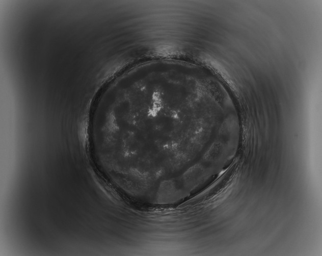 X0000093400443200710121101