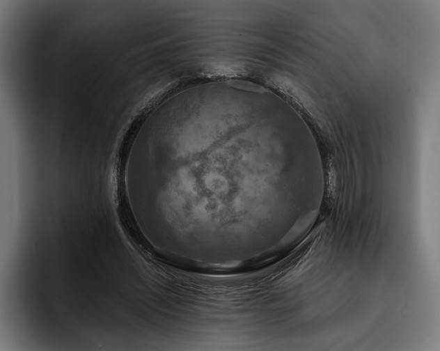 X0000093400444200710121101