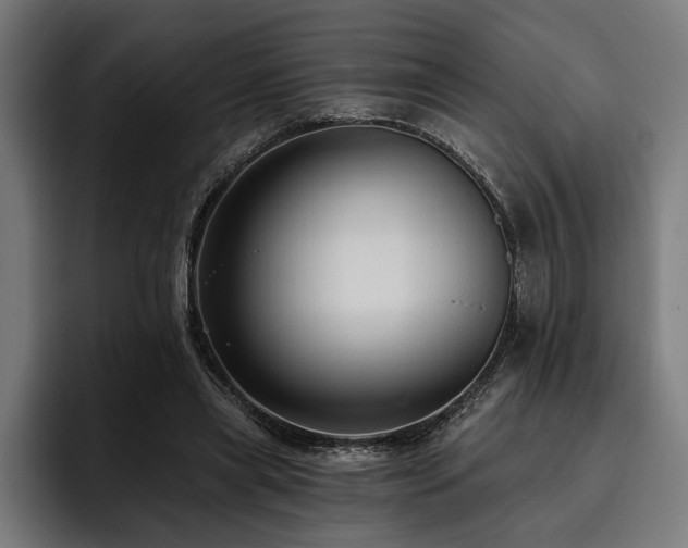 X0000093400445200710121101