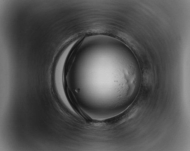 X0000093400446200710121101