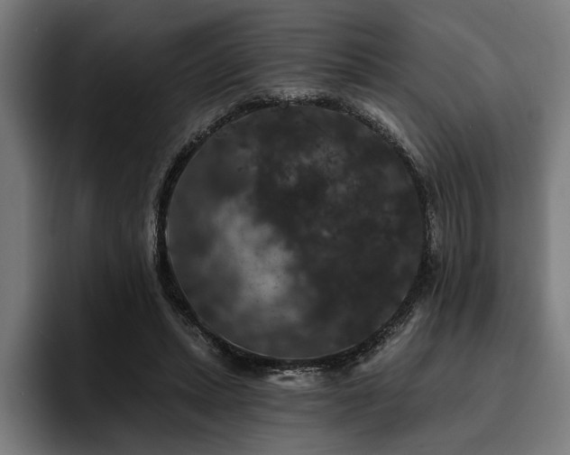 X0000093400447200710121102