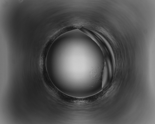 X0000093400448200710121102