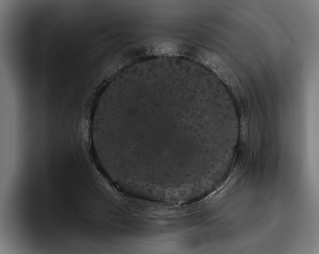 X0000093400449200710121102