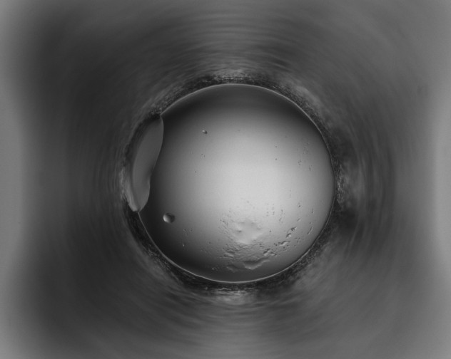 X0000093400454200710121102