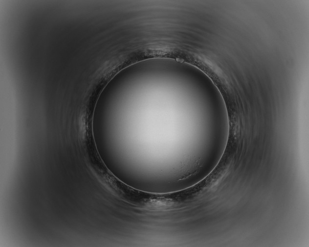 X0000093400455200710121102