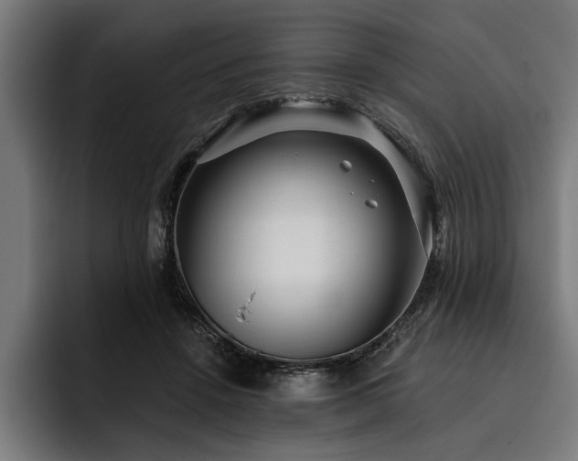 X0000093400456200710121102