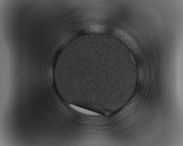 X0000093400457200710121102