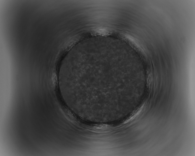 X0000093400459200710121102