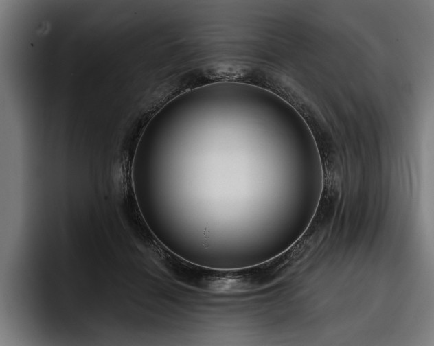 X0000093400460200710121102