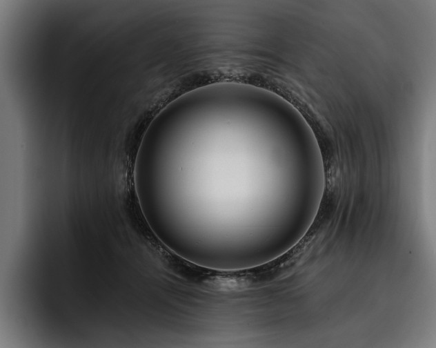 X0000093400464200710121102