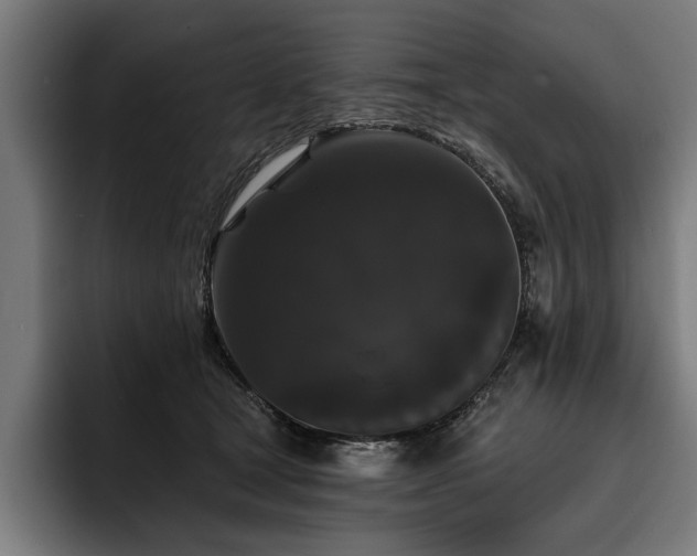 X0000093400465200710121102