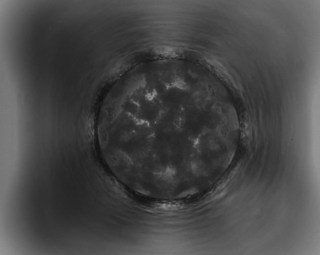 X0000093400466200710121102