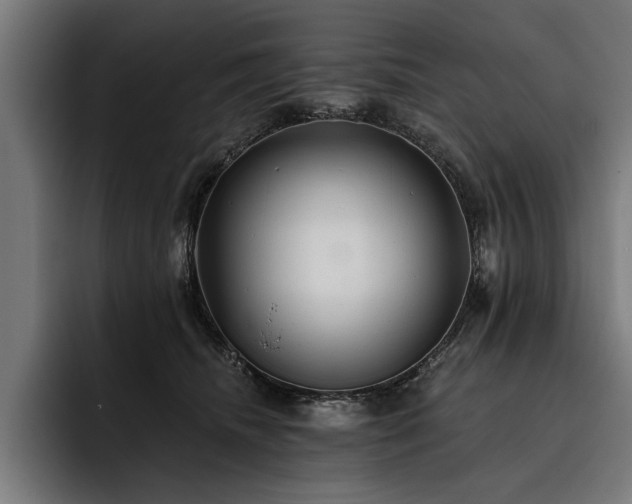 X0000093400468200710121102