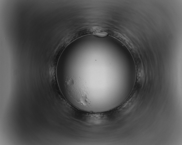 X0000093400473200710121102