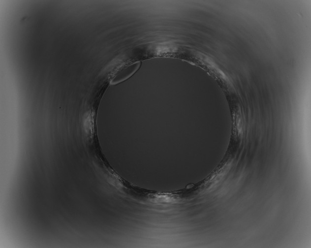 X0000093400475200710121102
