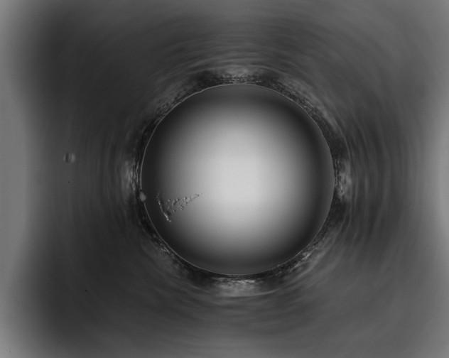 X0000093400476200710121102