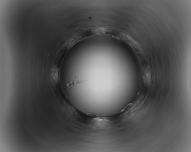 X0000093400477200710121102