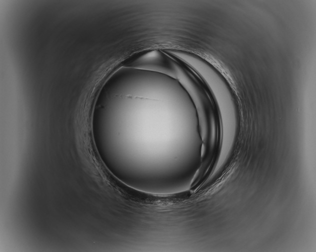 X0000093400481200710121101