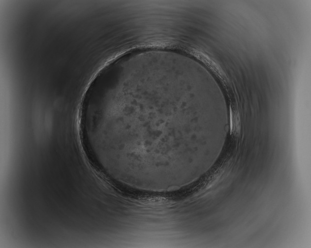X0000093400483200710121101