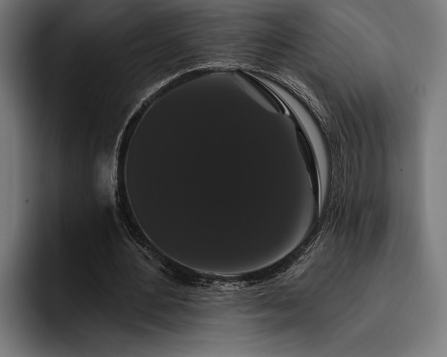 X0000093400484200710121101