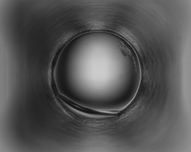 X0000093400485200710121101