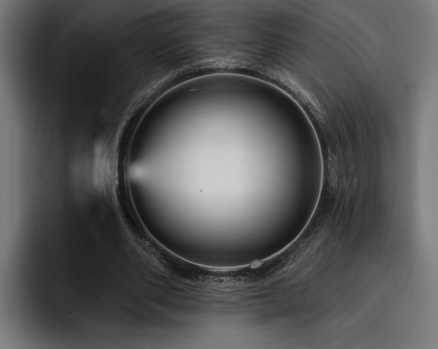X0000093400486200710121101
