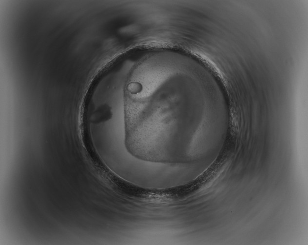 X0000093400487200710121101