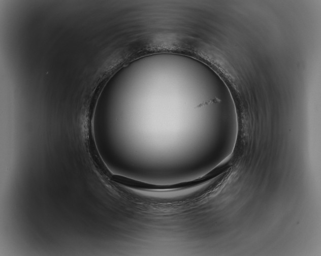 X0000093400489200710121101