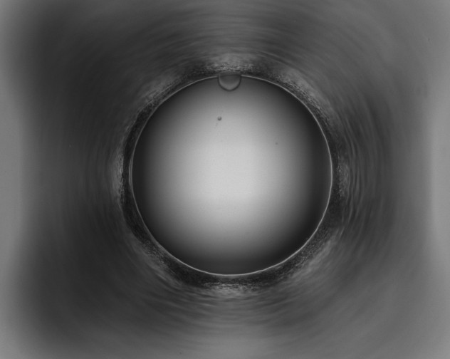 X0000093400490200710121101