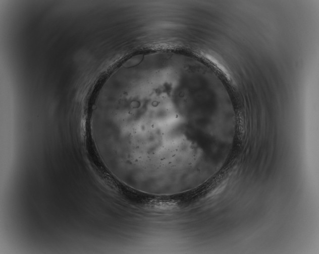X0000093400491200710121101