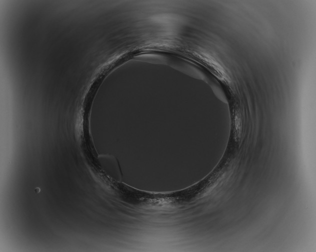 X0000093400492200710121101