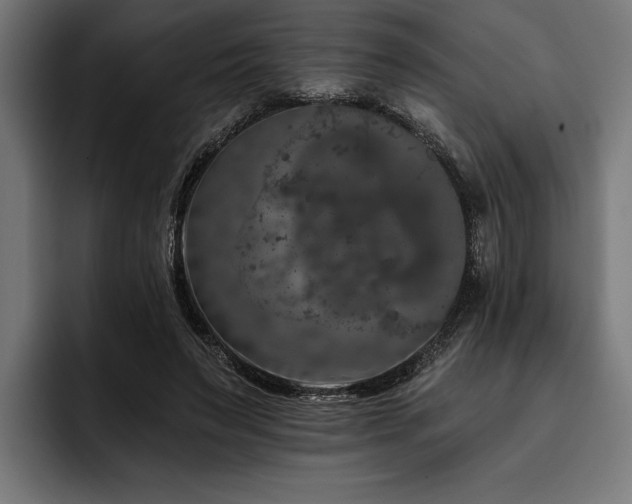 X0000093400495200710121101