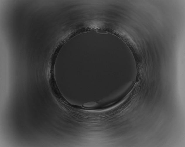 X0000093400496200710121101