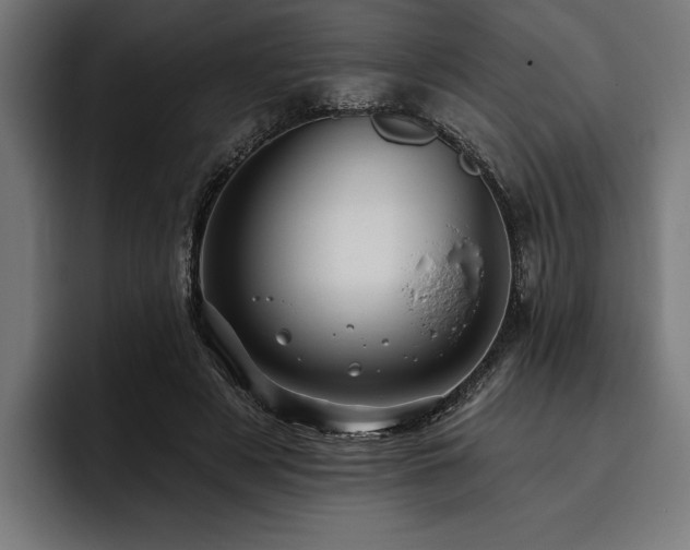 X0000093400497200710121101