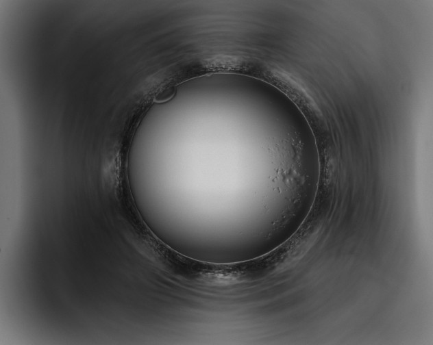 X0000093400498200710121101