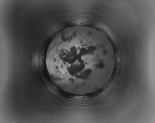 X0000093400499200710121101