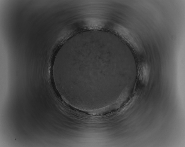 X0000093400501200710121101